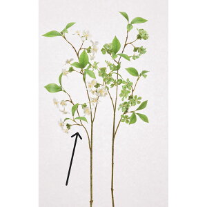 yԁzAXJ/t[Xv[×24 zCg/A-34918-1y01z ԁiA[eBtBVt[j  ԍށu͍sv ̑u͍svԉԍ