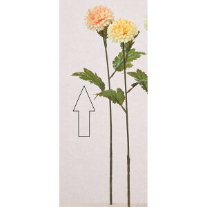 yԁzAXJ/||} s[`/A-73432-4y01z ԁiA[eBtBVt[j  ԍށusv LNiejEs|}