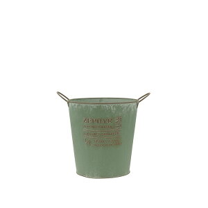 Aؔ  CARNAC/[tB[x[VbN5-GR O[/HSZ05GRy01z K[fjOE|pi t[|bg ACAEuL