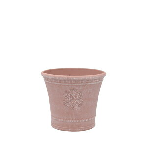 Aؔ  CARNAC/W_x[VbNS-BR uE/FC43BRy01z K[fjOE|pi t[|bg 