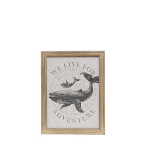 CARNAC/EBYEH[A[gJ/JFB010y01z X܃fBXvCEX Ǌ|EEH[fR EH[A[gEsN`[