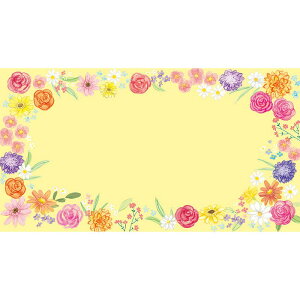 `LEO[eBOX/MtgJ[h 50/G-381y01z bsOpi A bZ[WJ[h O[eBOJ[h