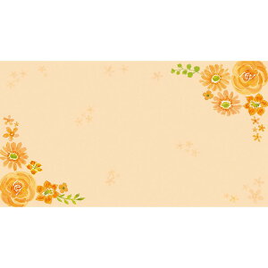 `LEO[eBOX/MtgJ[h 50/G-383y01z bsOpi A bZ[WJ[h O[eBOJ[h