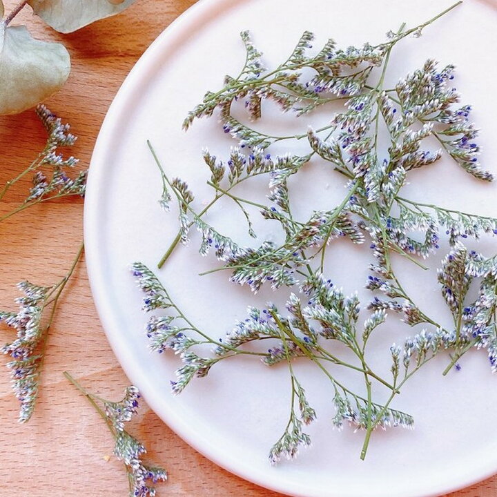 楽天市場】【ドライ】m flowers/ブルーファンタジア ドライ【10  