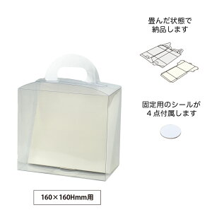 GREENHOUSE/NAP[X ` S/5356y01z[2] bsOpi A bsOEMtg{bNX NAP[X({bNX)