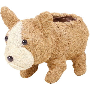 Aؔ  SG Wonder zone/VTuhbOM@\/111-002y07z K[fjOE|pi t[|bg `[t