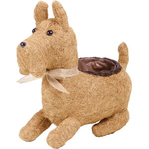 Aؔ  SG Wonder zone/VTViEU[L@gg/111-004y07z K[fjOE|pi t[|bg `[t