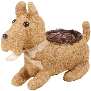 Aؔ  SG Wonder zone/VTViEU[S@AW/111-006y07z K[fjOE|pi t[|bg `[t