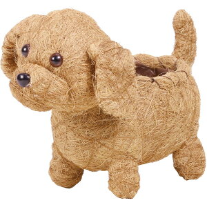 Aؔ  SG Wonder zone/VTv[h@gA/111-007y07z K[fjOE|pi t[|bg `[t