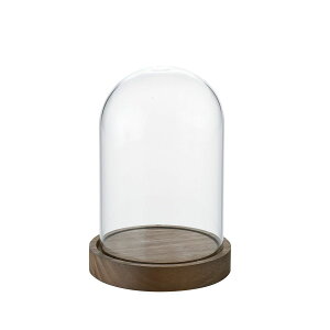 Paseo/KXh[/48-26BRy01z ԊA[X ԊEԕr h[AKXh[