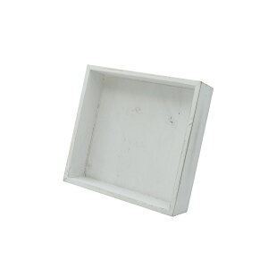 �y�Ζ����ӃZ�[���zPaseo/�X�^���h�t�ؐ��{�b�N�X/WD-61WH�y01�z[2��] �Ԋ�A���[�X �Ԋ�E�ԕr �t�����[�t���[��