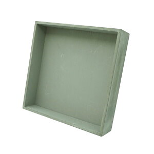 Paseo/X^htؐ{bNX/WD-62GYy01z ԊA[X ԊEԕr t[t[