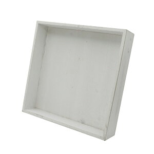 Paseo/X^htؐ{bNX/WD-62WHy01z ԊA[X ԊEԕr t[t[