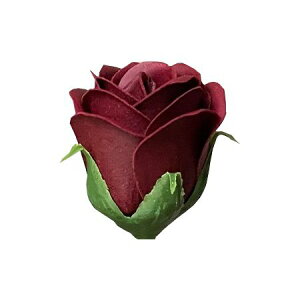 yΖӃZ[zy\[vt[zGracias/\[vt[wbh[YS C/F-289y01z vU[uht[ tOX\[vt[ \[vt[ԍ