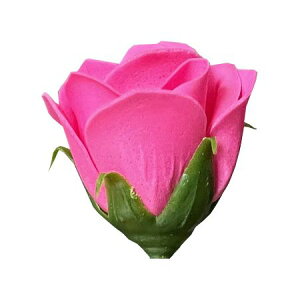 yΖӃZ[zy\[vt[zGracias/\[vt[wbh[YS ZsN/F-291y01z vU[uht[ tOX\[vt[ \[vt[ԍ