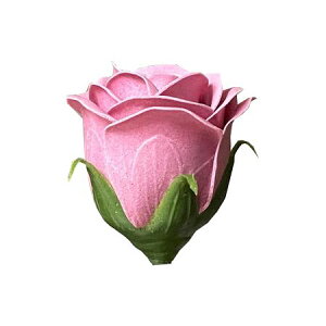 yΖӃZ[zy\[vt[zGracias/\[vt[wbh[YS p[v/F-292y01z vU[uht[ tOX\[vt[ \[vt[ԍ