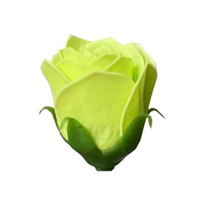 yΖӃZ[zy\[vt[zGracias/\[vt[wbh[YS O[/F-293y01z vU[uht[ tOX\[vt[ \[vt[ԍ