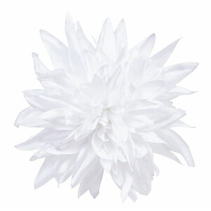 yԁzroH|/VE-4210 _AsbN WH/VE-4210WHy01z ԁiA[eBtBVt[j  ԍށusv _A