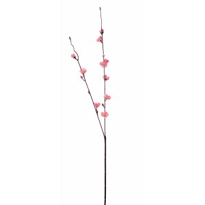 yԁzroH|/VE-6989 E×2 PI/VE-6989PIy01z ԁiA[eBtBVt[j  ԍށusv Ei~j