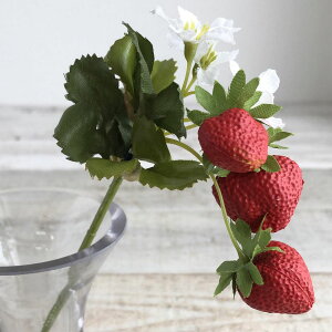 yԁzAXJ/~jXgx[sbN@bh/A-49018-2y01z ԁiA[eBtBVt[j ԎAtFCNt[c EXgx[