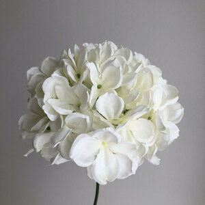 yԁzAXJ/nChWAsbN@zCg/A-32133-1y01z ԁiA[eBtBVt[j  ԍށusv izԁj