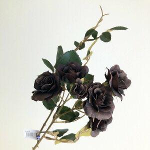 yԁzAXJ/A-39578 [YX5@ڂX2 028D@_|NuE/A-39578-028Dy01z ԁiA[eBtBVt[j  ԍށu͍sv o