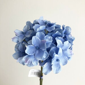 yԁzAXJ/nChWAsbN u[/A-33088-009y01z ԁiA[eBtBVt[j  ԍށusv izԁj