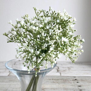 yԁzAXJ/Wv\tBi15{j 001 zCg/A-33355-1y01z ԁiA[eBtBVt[j  ԍށusv ݑ