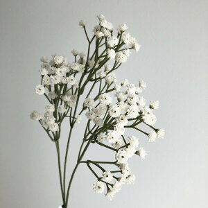 yԁzAXJ/Wv\tB×135 #001 zCg/A-33816-1y01z ԁiA[eBtBVt[j  ԍށusv ݑ