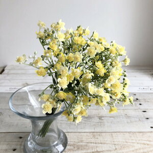 yԁzAXJ/Wv\tBo`(110{) #010 CG[/A-33940-10y01z ԁiA[eBtBVt[j  ԍށusv ݑ