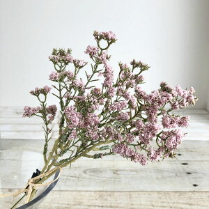 yԁzAXJ/xr[uXo`i13{j sN/A-34069-003y01z ԁiA[eBtBVt[j  ԍށusv ݑ