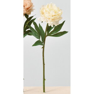 yԁzAXJ/sIj[ #011 N[zCg/A-34378-11y01z ԁiA[eBtBVt[j  ԍށusv VNNi䉖jE{^iOjEsIj[