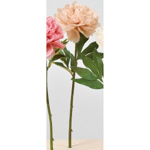 yԁzAXJ/sIj[ #008D _XeBx[W/A-34379-8Dy01z ԁiA[eBtBVt[j  ԍށusv VNNi䉖jE{^iOjEsIj[