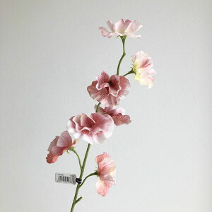 yԁzAXJ/XCgs[×7 zCgR[/A-34843-13Wy01z ԁiA[eBtBVt[j  ԍށusv XCgs[