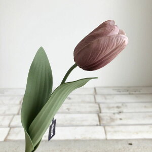 yԁzAXJ/`[bv AeC[N[u/A-34715-55Ay01z ԁiA[eBtBVt[j  ԍށusv `[bv