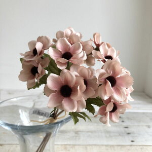 yԁzAXJ/Allo`(15{) N[[u/A-34730-55Cy01z ԁiA[eBtBVt[j  ԍށusv All