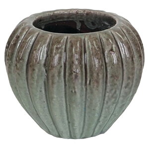 Aؔ  cY/O[YhEh|bg^hu[L/1507y07z K[fjOE|pi t[|bg eRb^(fĂ)