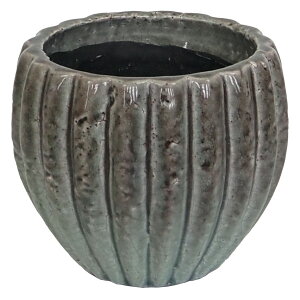 �A�ؔ� ������� ���c���Y��/�O���[�Y�h�|�b�g���^���h�u���[/1509�y07�z �K�[�f�j���O�E���|�p�i �t�����[�|�b�g �e���R�b�^(�f�Ă�)