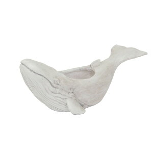 Aؔ  cY/UgENW|bg/3254y07z K[fjOE|pi t[|bg W