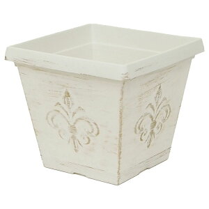 Aؔ  cY/v_|bgXNGACream/3788y07z[10] K[fjOE|pi t[|bg vX`bN