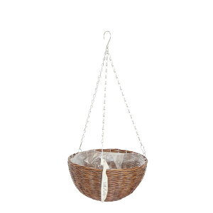 Aؔ  cY/PP^oXPbgnMOLBrown/3222y07z K[fjOE|pi t[|bg ݂蔫EnMO