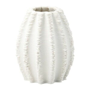 FV/NWx[XSW/TA100y01z ԊA[X ԊEԕr Ԋ