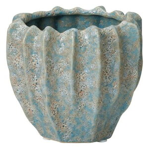 Aؔ  FV/GLNWOGR/TM914y01z K[fjOE|pi t[|bg EZ~bN