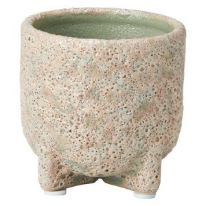 Aؔ  FV/GLT[NX^hSBE/TM916y01z K[fjOE|pi t[|bg EZ~bN