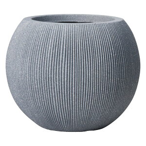 Aؔ  FV/[jo[eBJ{EGY/AK365y01z K[fjOE|pi t[|bg 