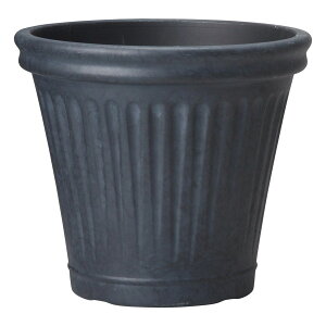 Aؔ  FV/[jOCuT[NMB/AK369y01z K[fjOE|pi t[|bg 