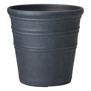 Aؔ  FV/gOCuT[NMB/AK374y01z K[fjOE|pi t[|bg 