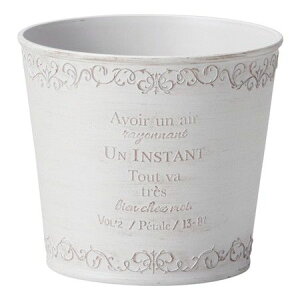 Aؔ  FV/g@gT[NSW/MS1365y01z K[fjOE|pi t[|bg 