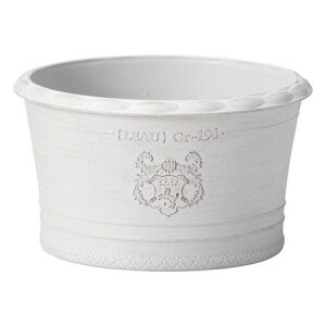 Aؔ  FV/VoEhSW/MS1393y01z K[fjOE|pi t[|bg 