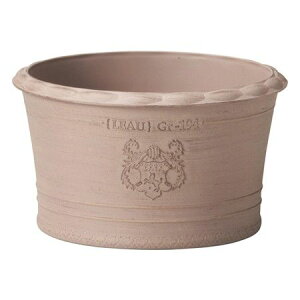 Aؔ  FV/VoEhSBR/MS1397y01z K[fjOE|pi t[|bg 